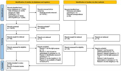 The Holistic Life-Crafting Model: a systematic literature review of meaning-making behaviors